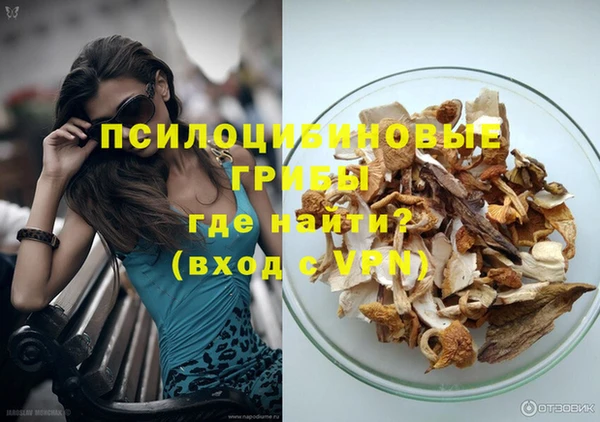 герыч Алексин