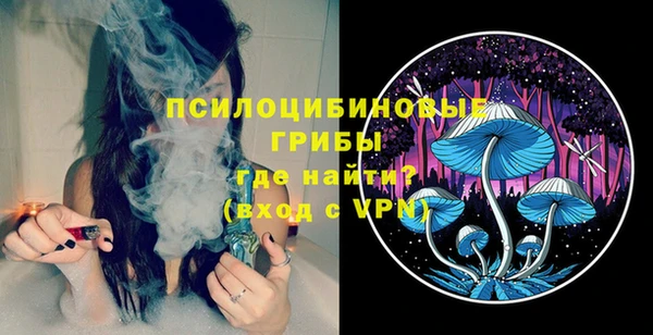 герыч Алексин