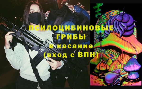 герыч Алексин