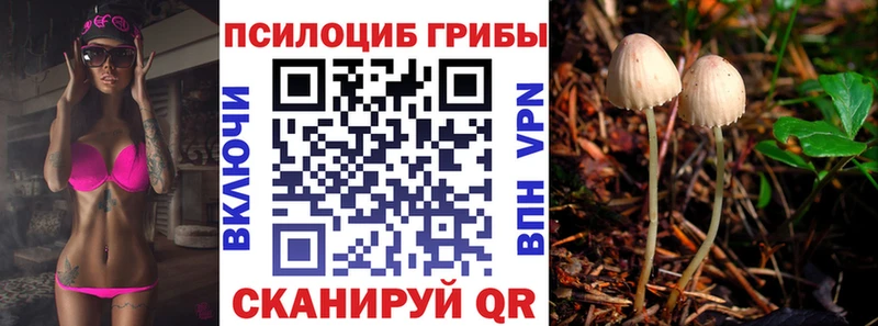 Псилоцибиновые грибы MAGIC MUSHROOMS Козловка